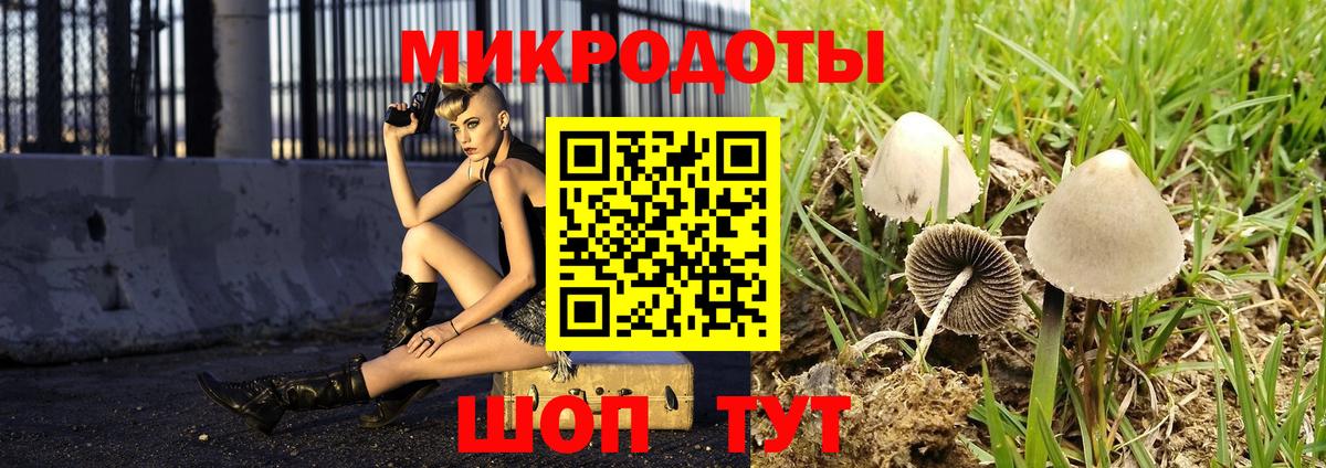 Галлюциногенные грибы Psilocybe Балаково